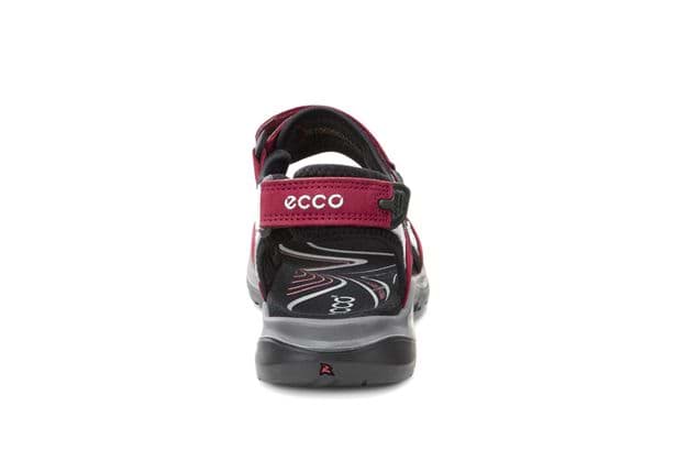 ecco italian
