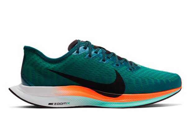 nike zoom pegasus 22