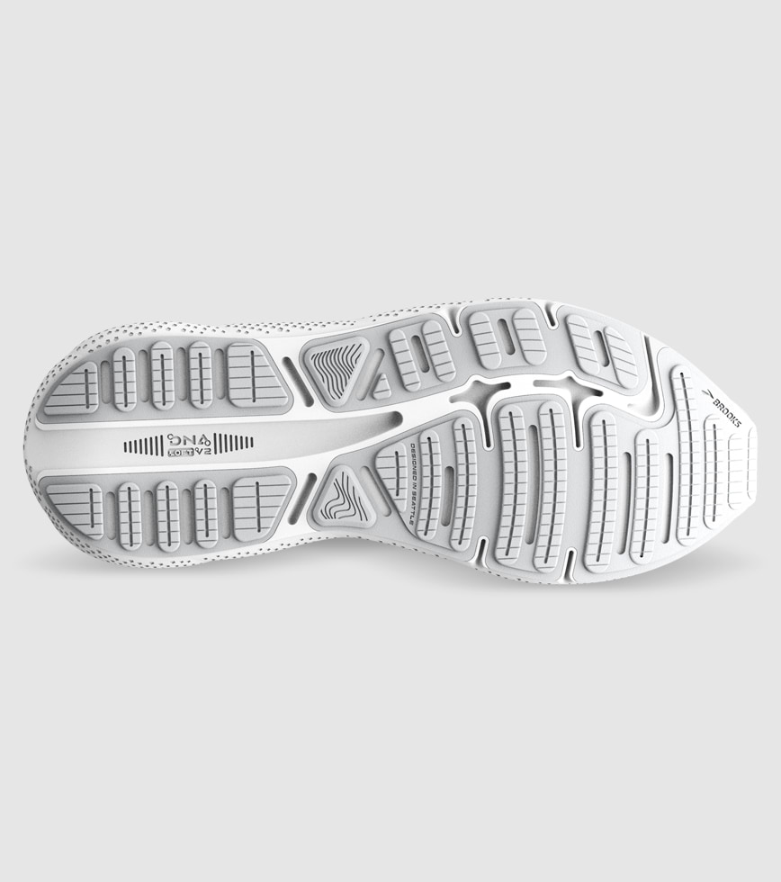 Salomon ghost max 110 hot sale