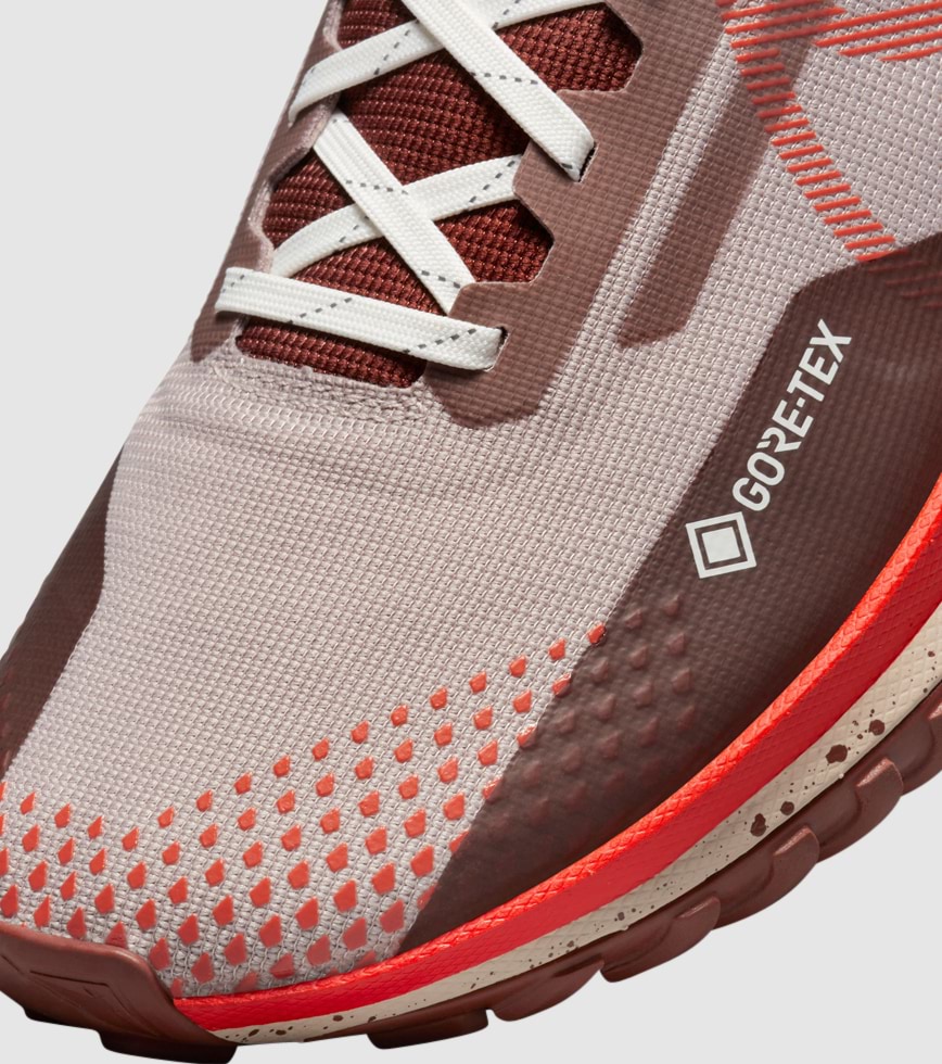 Zoom pegasus 36 trail gore-tex australia hotsell