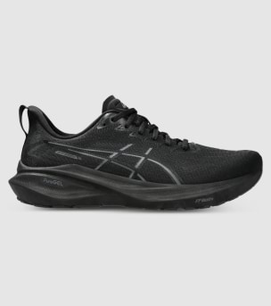 Mizuno wave rider 2e online