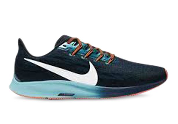 nike air zoom pegasus 36 black & metallic summit white