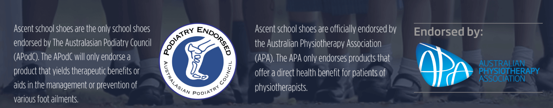 Ascent Shoes APA Endorsement